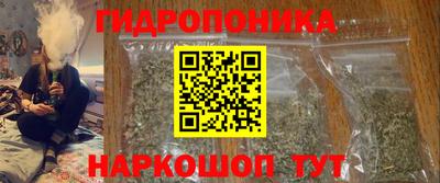 шишки Боровичи