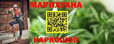 крисы Брянск