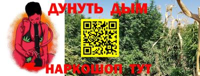 скорость Бердск